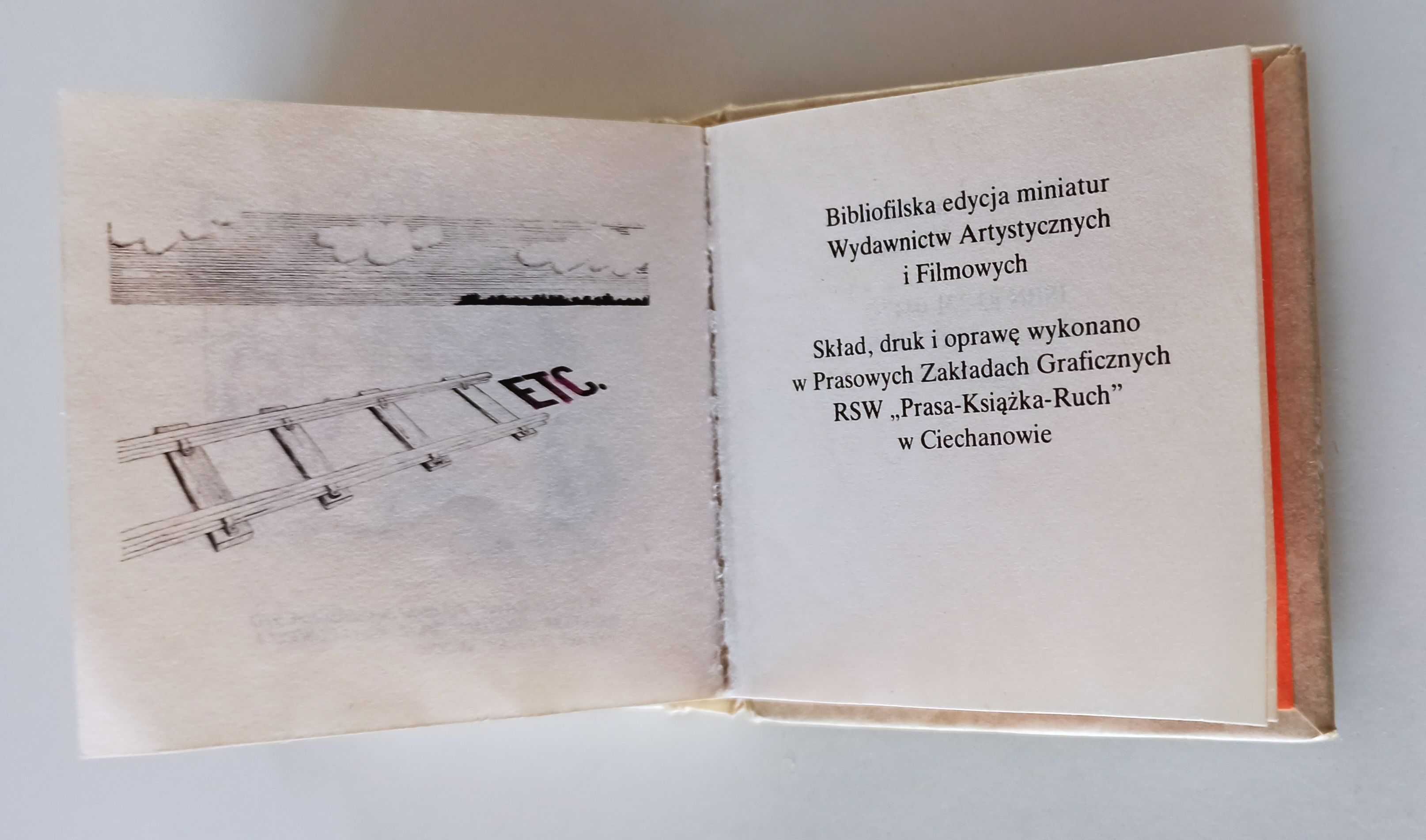 Zbigniew Jujka Żart na stronę jak Andrzej Mleczko rysunki satyryczne