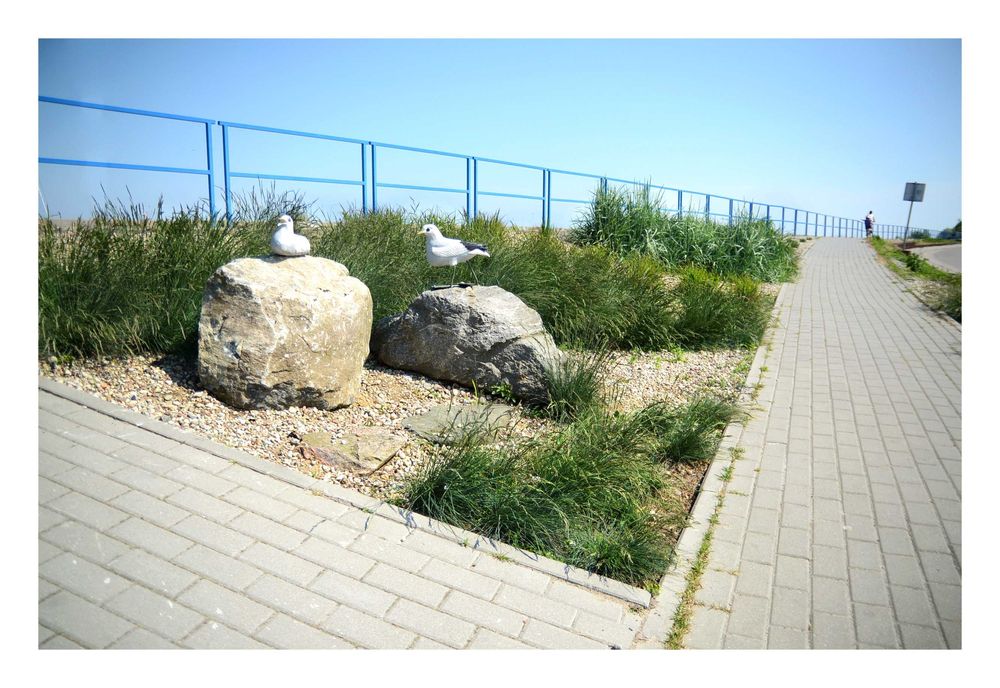 Święta, Sylwester, Weekendy 100m od plaży Rewa