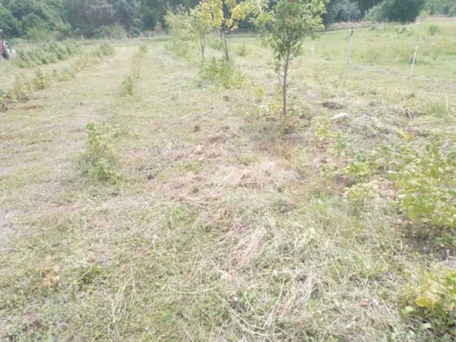 Działka rekreacyjna służąca jako miejsce ucieczkowe