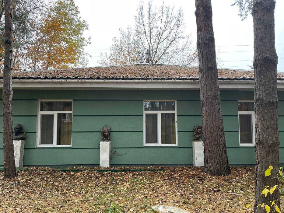 Продається будинок мрії на Дамбі