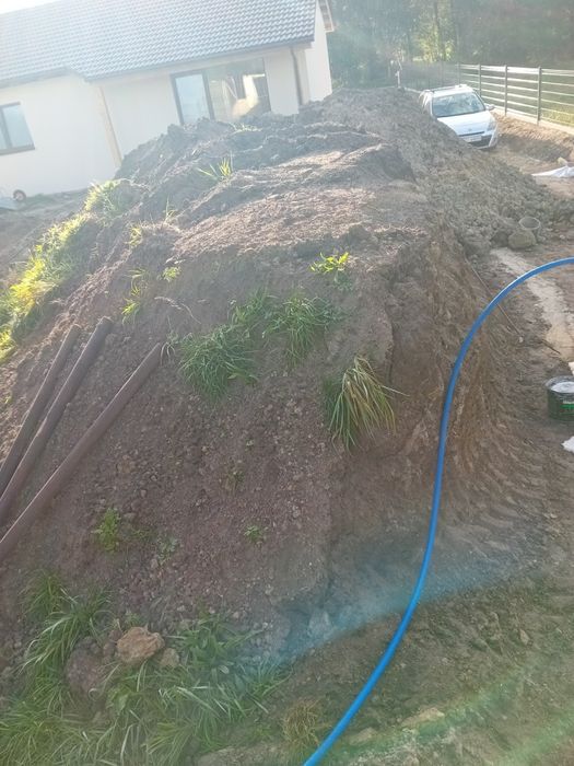 Oddam ziemię za darmo