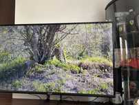 Telewizor te CL 55 Calley smart TV