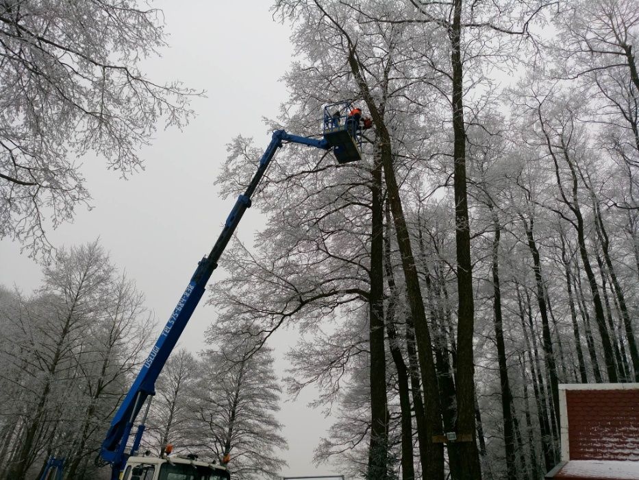 Wycinka i pielęgnacja drzew. Czyszczenie działek. Koszenie
