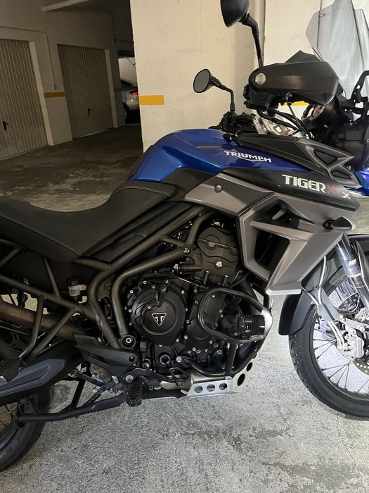 Tiger 800 xcx 2015