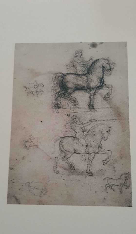 Coleção de impressões dos cavalos de Leonardo da Vinci