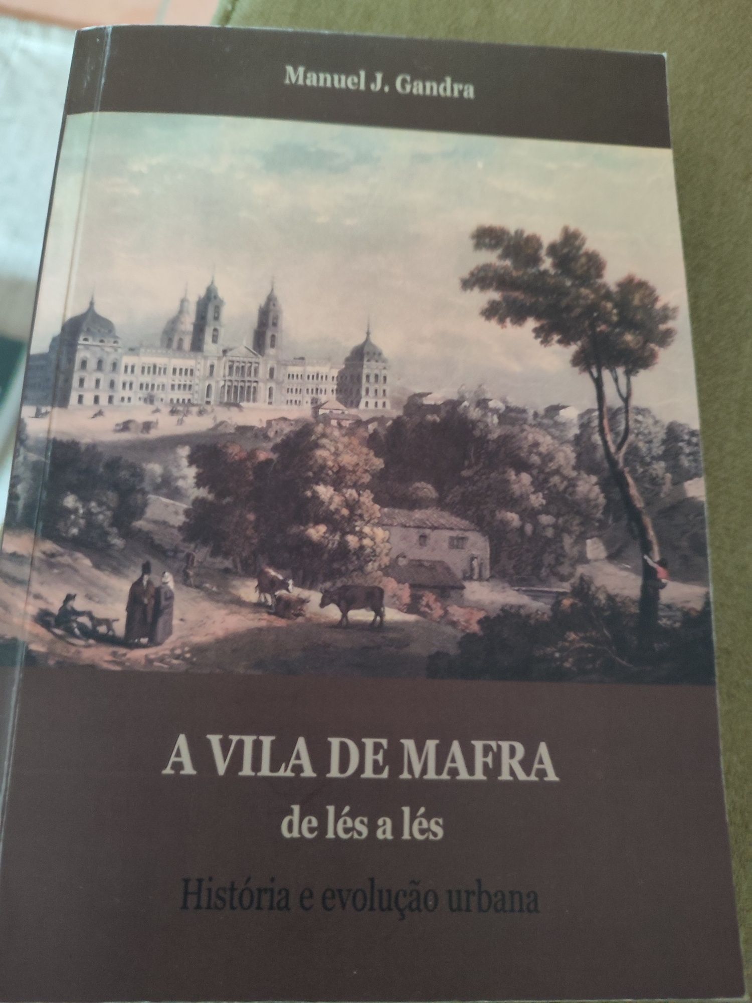 A Vila de Mafra de lés a lés