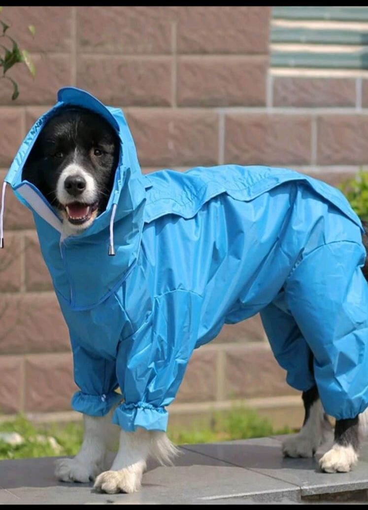 Capa de chuva cão