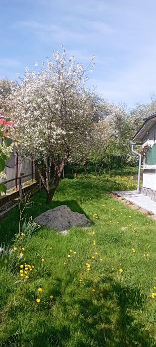 Вартість знижено! Продамо будинок Голубине Закарпаття курорт Поляна