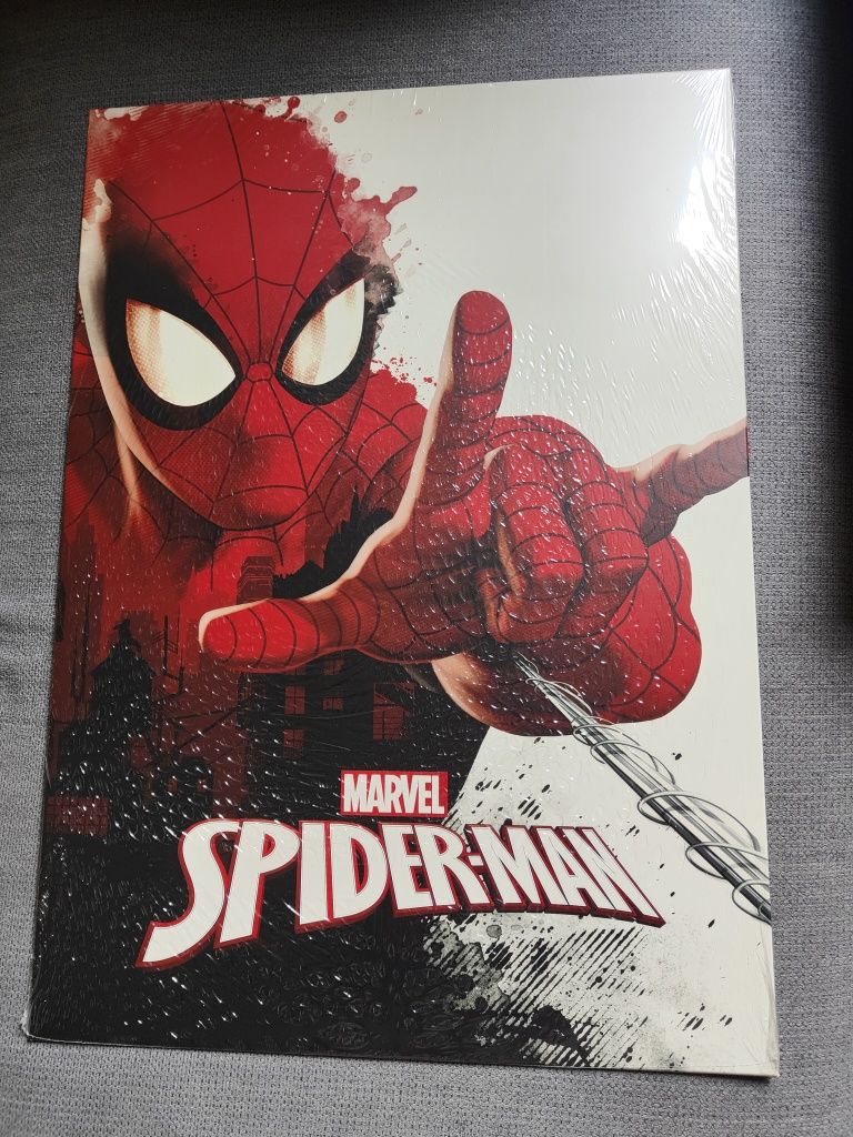 Sprzedam metalowy plakat Displate Spiderman