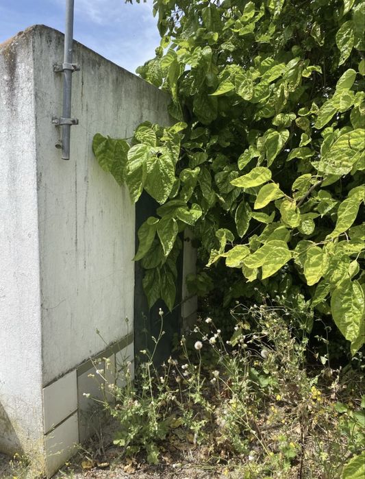 Terreno com furo e eletricidade em avos