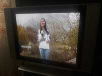 Philips Flat TV зображеня идеальне