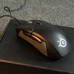 Ergonomic esports mouse SteelSeries Rival 310