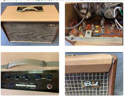 Bird Golden Eagle gitarowy  wzmacniacz lampowy  1963r