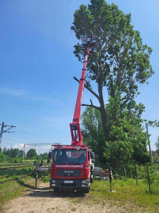Podnośnik Koszowy Zwyżka Wycinka Drzew Przycinka Gałęzi Montaż Reklam
