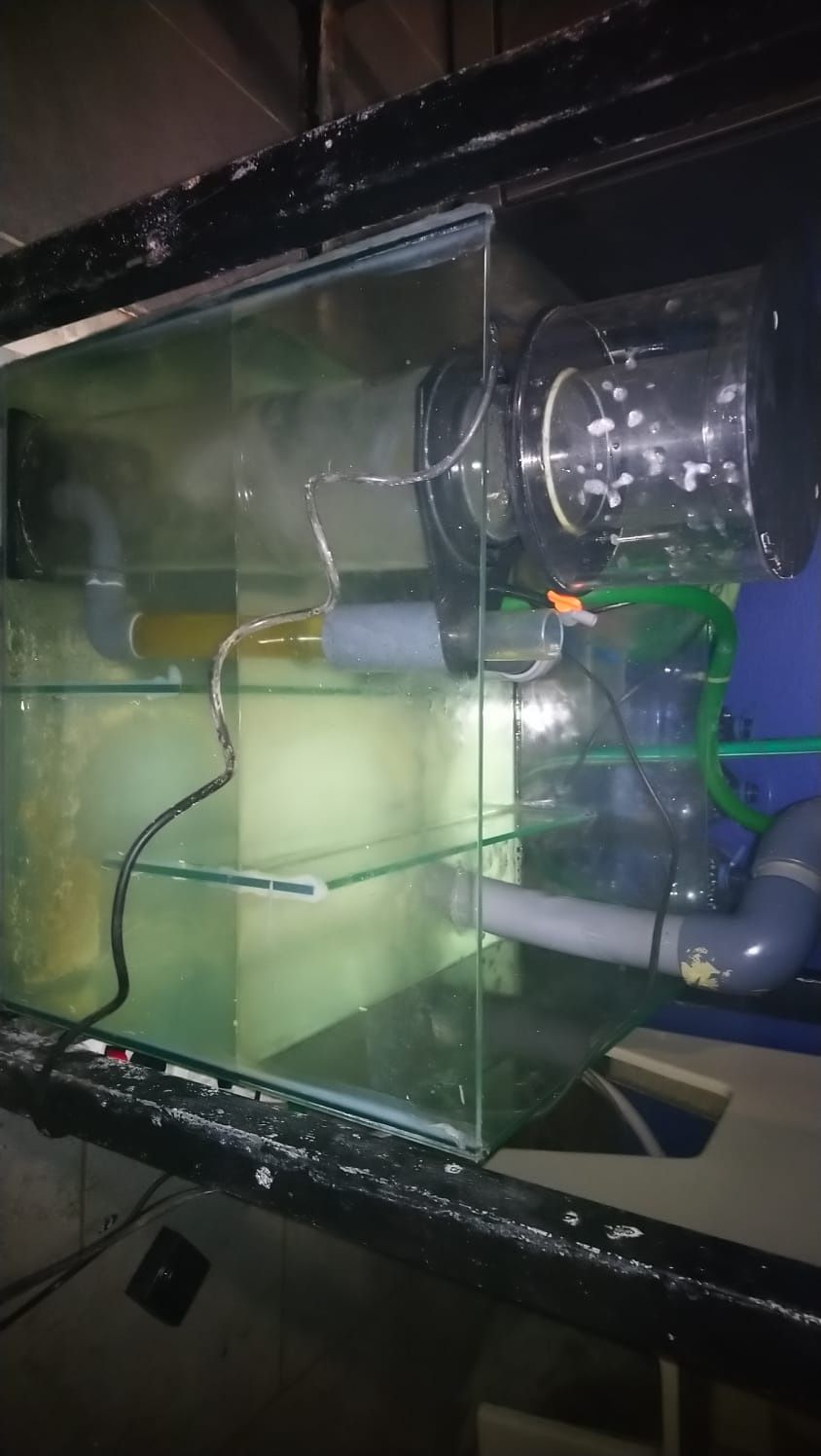 Aquário com sump