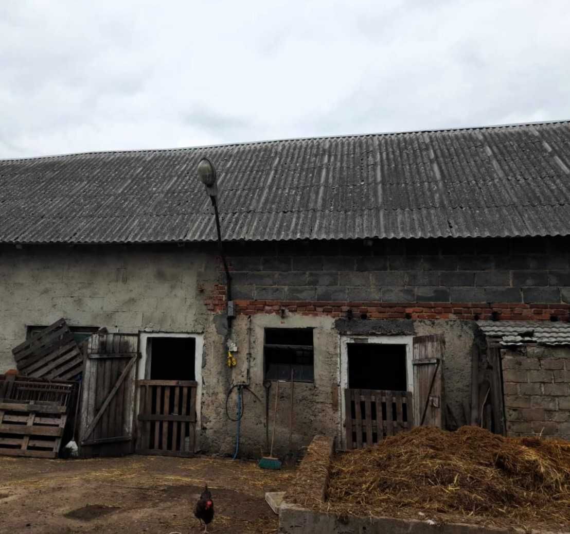 Usuwanie materiałów zawierających azbest. Odbiór i utylizacja eternitu