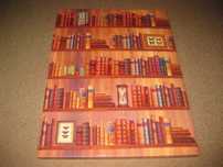 Quadro/Tela "Livros numa Estante" Nova!