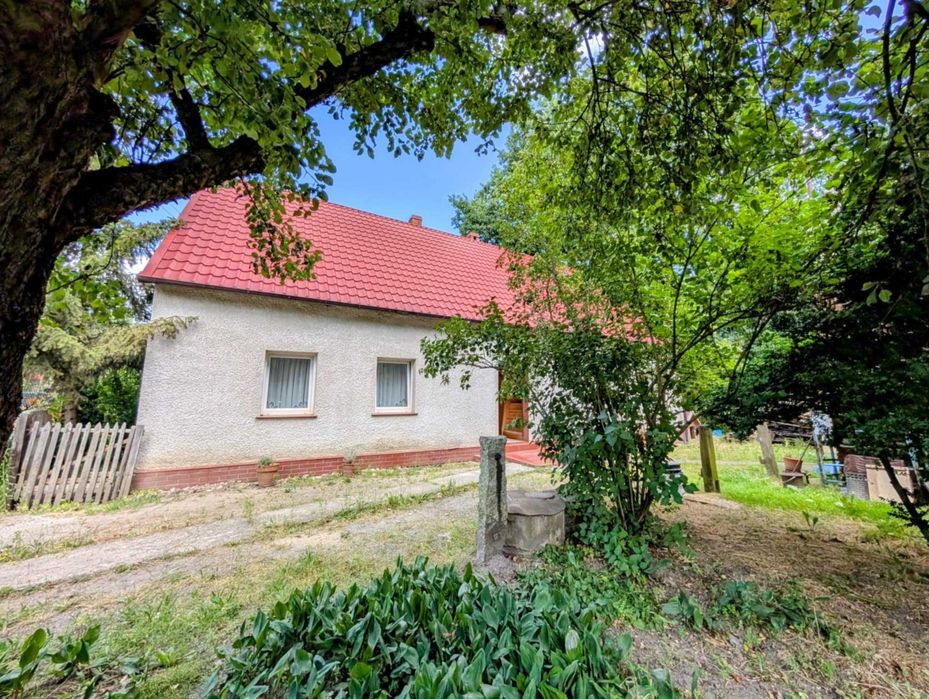 Dom wolnostojący na 33 - arowej działce, Ścinawa