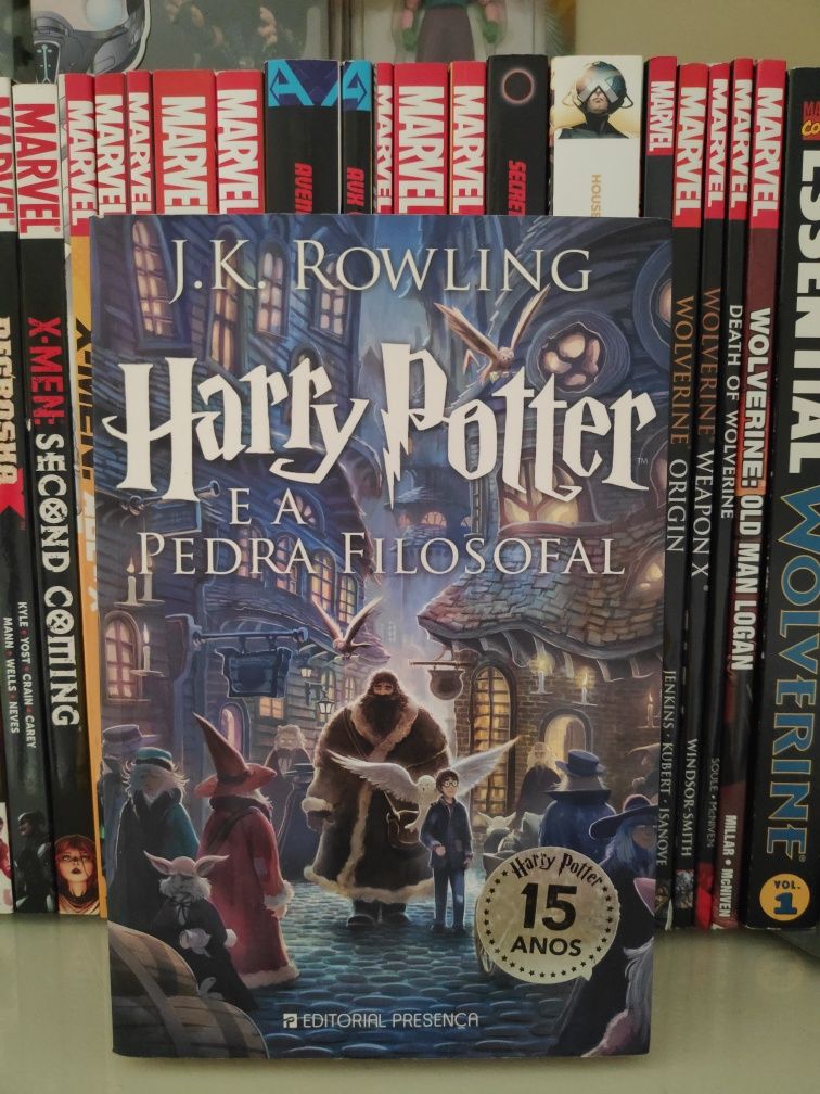 Harry Potter e a pedra filosofal em português