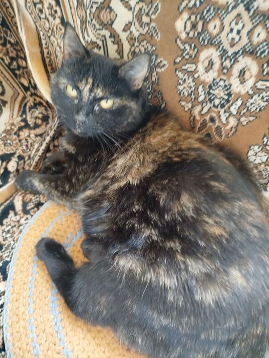 Потрібна допомога