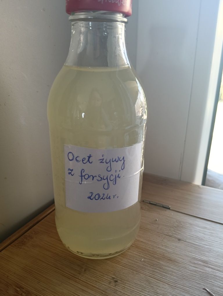 Ocet z forsycji żywy 2024