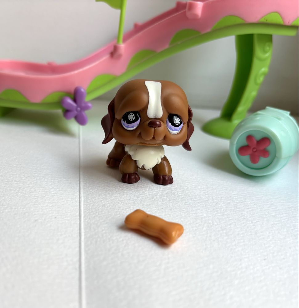Lps St. Pet shop #688 bernardyn Playset obstacles zestaw pies vinatge