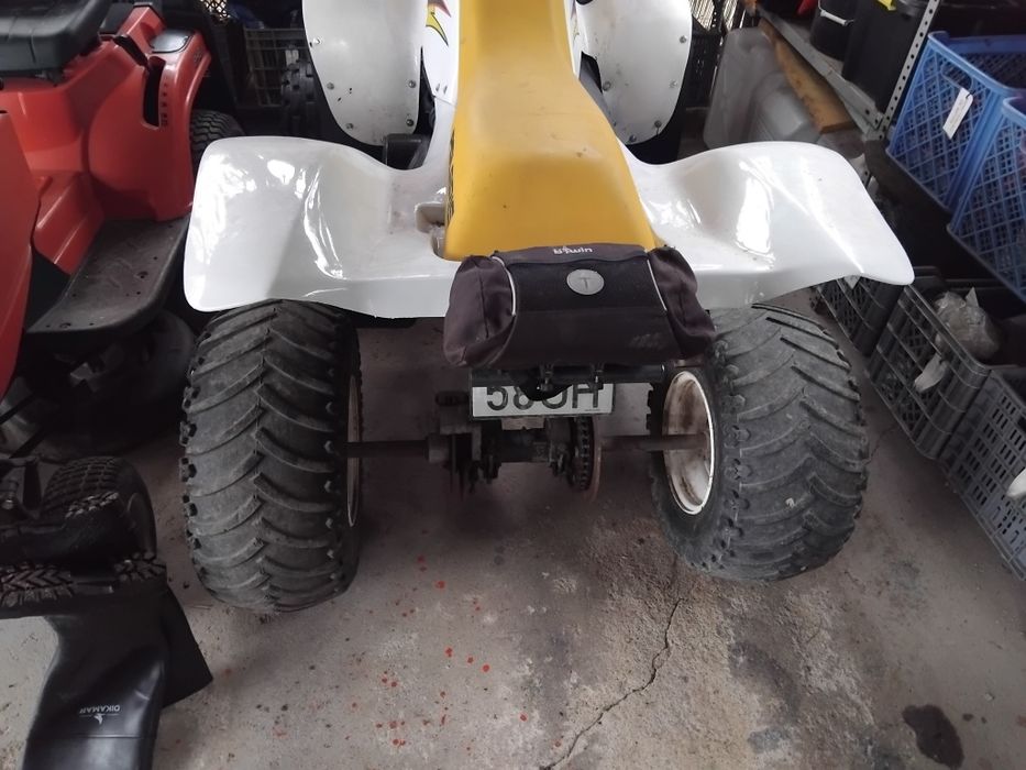 Polaris Trailblazer 250