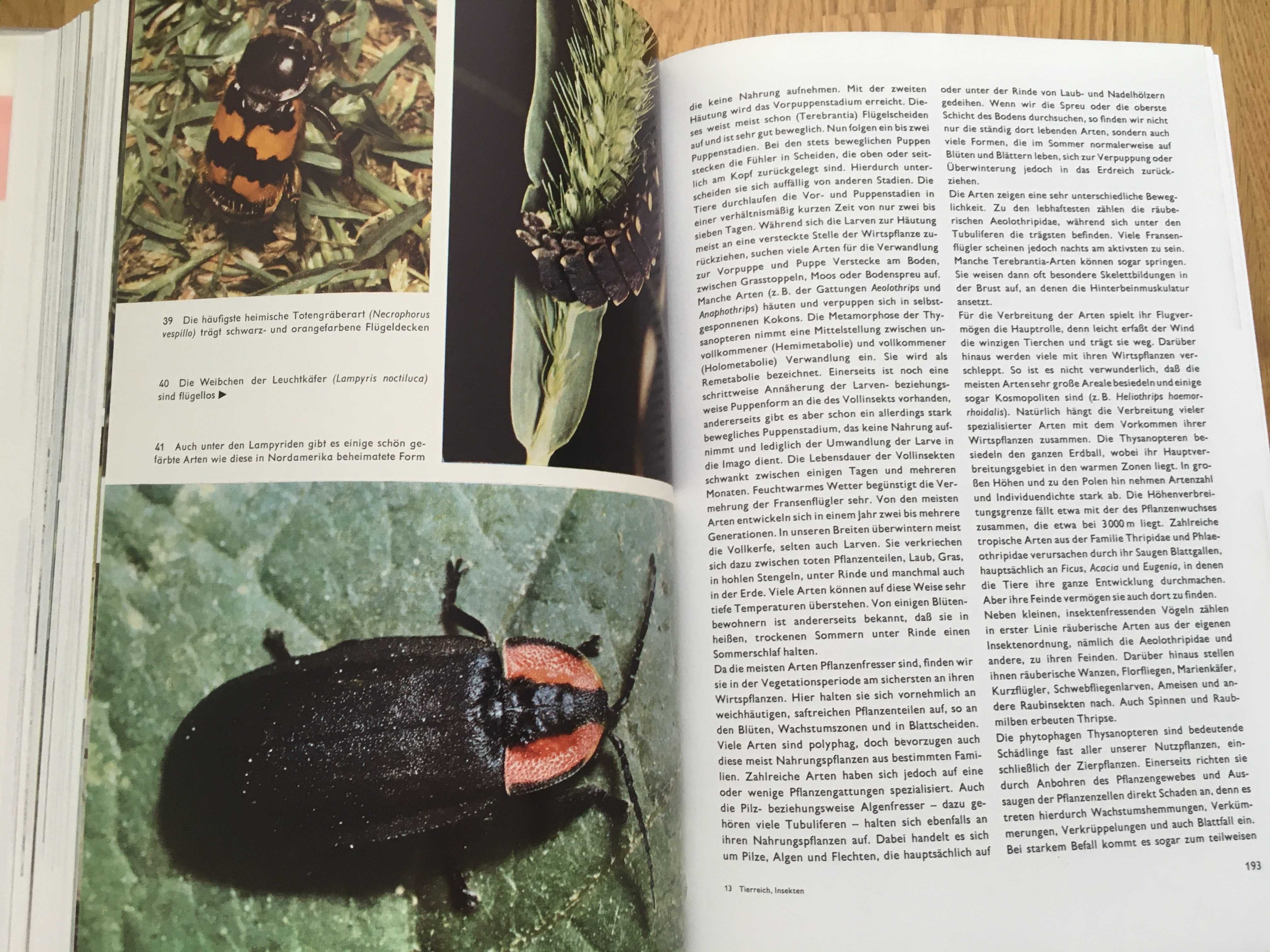 Urania Tierreich, энциклопедия на немецком, растения, птицы, насекомые
