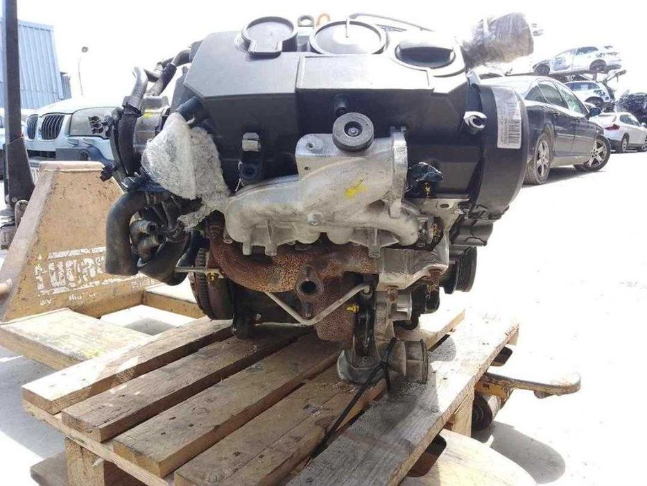 Motor Seat Leon 1,9tdi 105cv   ref: BLS