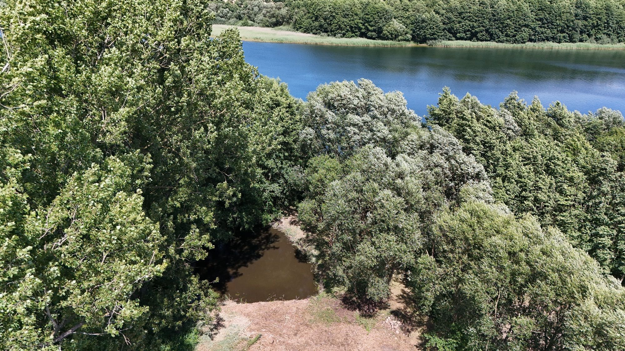 Siedlisko, działka 4181m2 z linią brzegową Ostrowite Prymasowskie