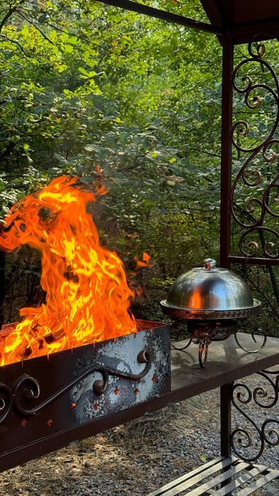 Аренда беседки у лiсi .