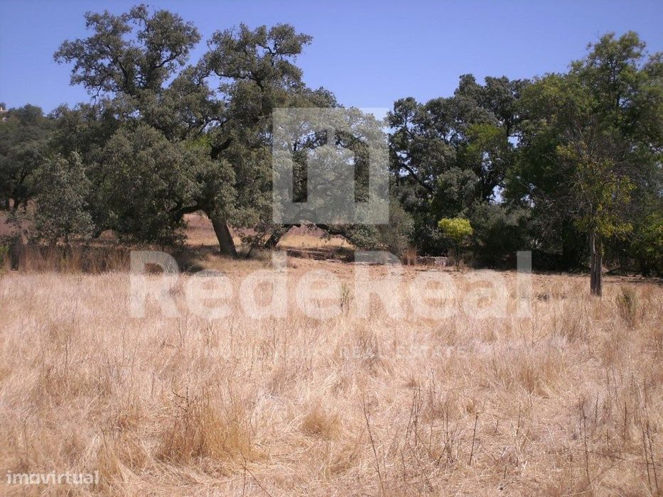 Terreno rústico, Loulé