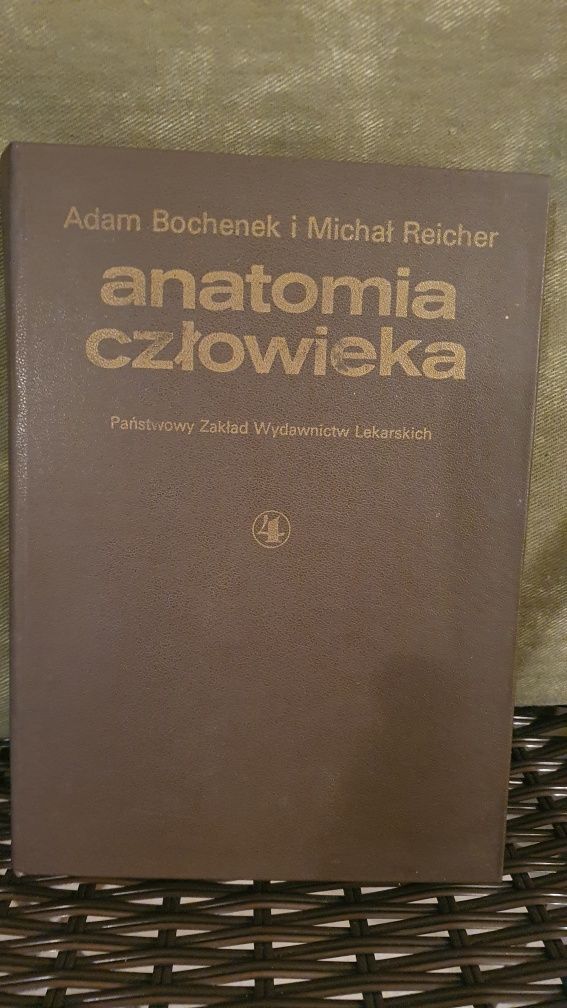 Anatomia człowieka -Bochenek Tom IV