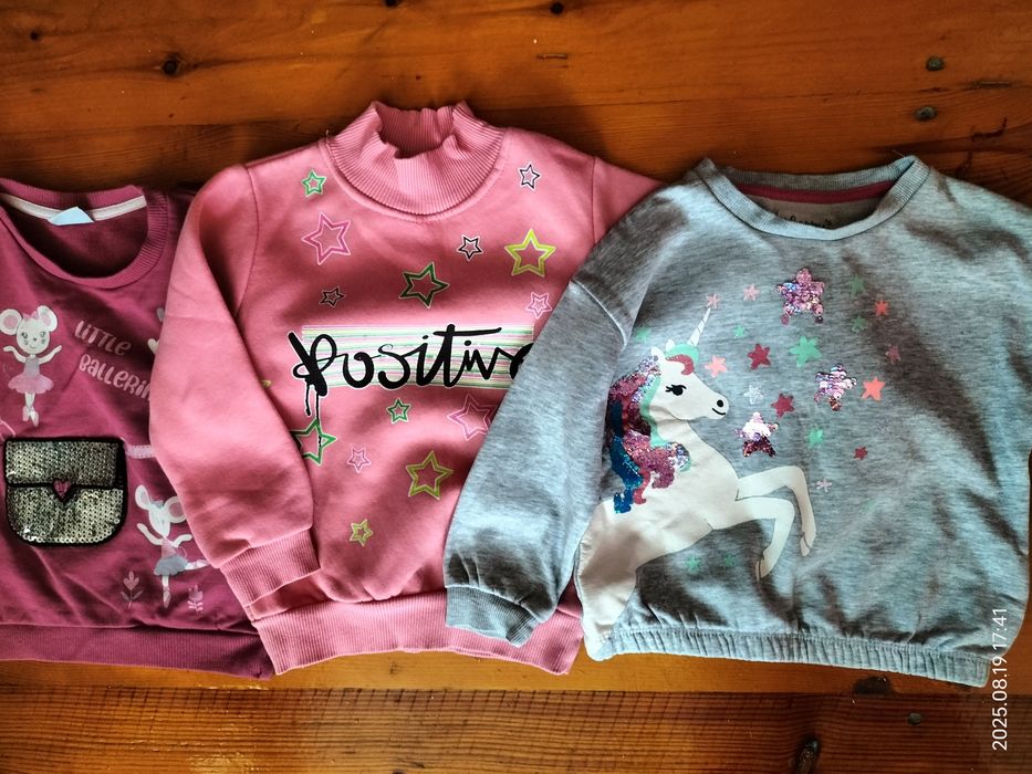 лот теплих речей для дівчинки на 3 роки світшот, светр ціна за все