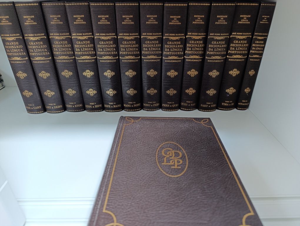 Vendo conjunto de dicionários de língua portuguesa