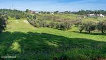 Terreno Rústico  Venda em Parceiros e Azoia,Leiria