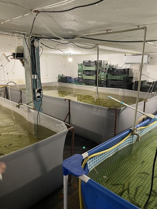 Ціну знижено!!!Продам готовий бізнес