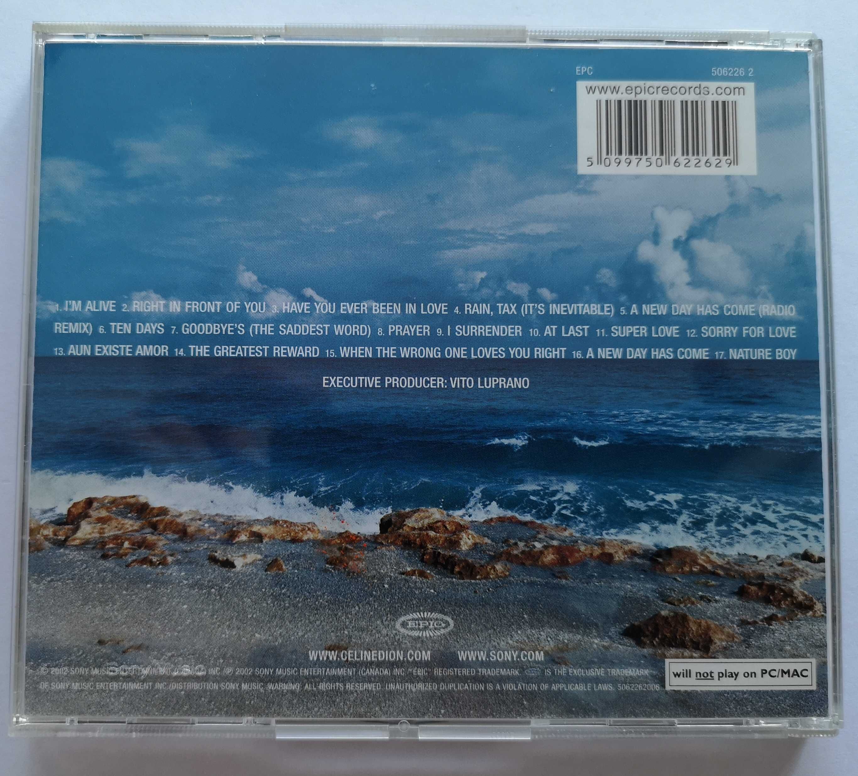 CELINE DION-A New Day Has Come orginalna płyta CD.Stan idealny.