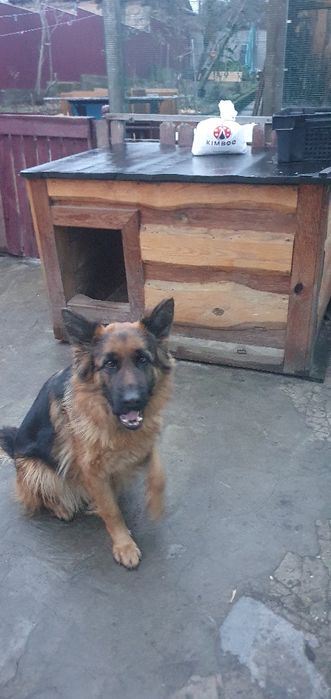 Будка для собаки. Під замовлення різних розмірів.  З утепленням і без.