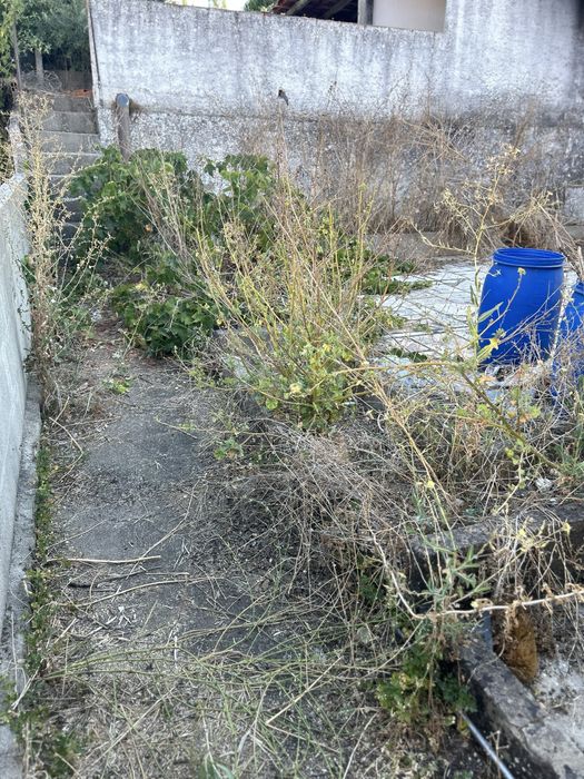 Manutensões de Jardins e Quintais