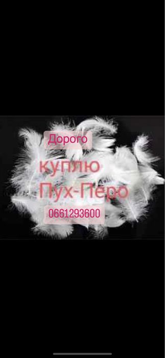 Пух перо пух