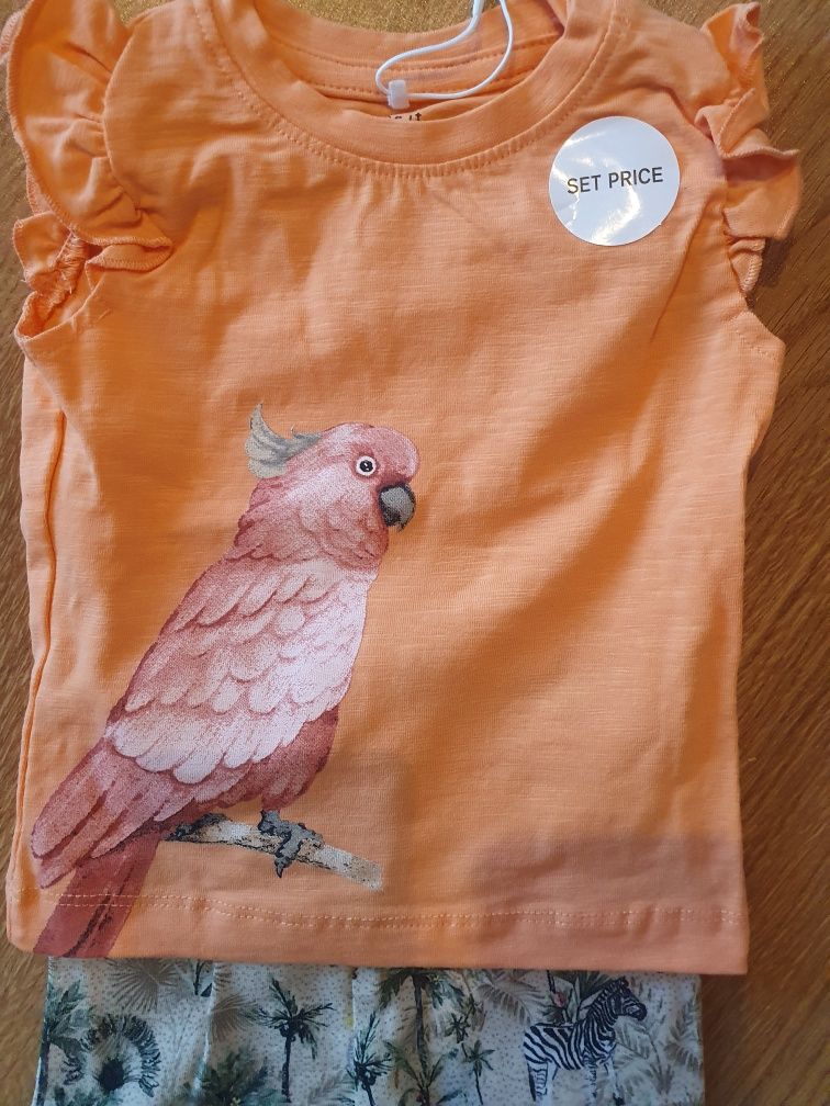 Komplet niemowlęcy 56 dla dziewczynki bluzka legginsy papuga