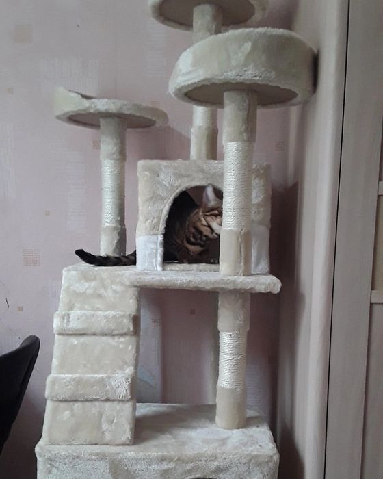 Когтеточка, домик для кота