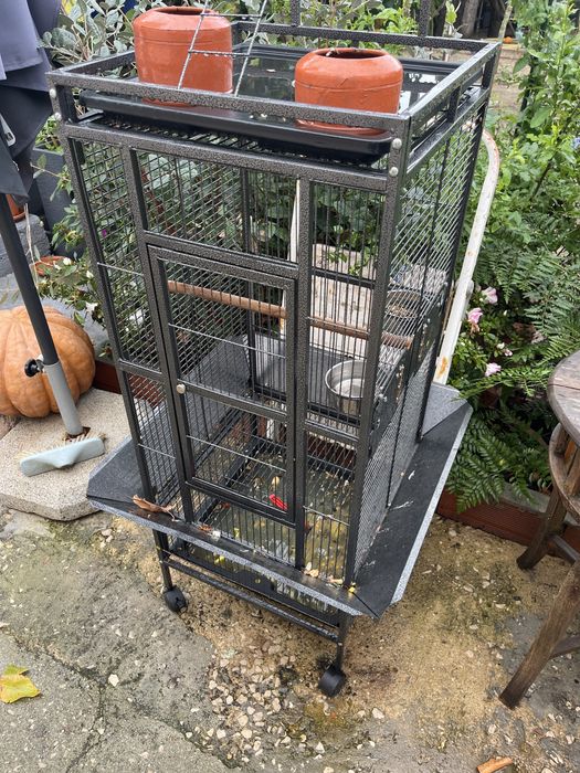 Gaiola para papagaio