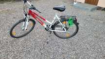 Rower Pegasus Avanti dla dziewczynki 26"
