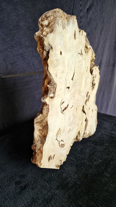 K10 54x32x4,5 czeczota monolit blat decha plaster żywica lite drzewo