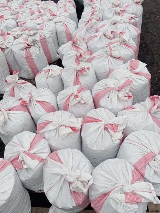 Ziemia ogrodowa, czarnoziem, bez dodatków, czysta, pH 5,5-6,5; piasek