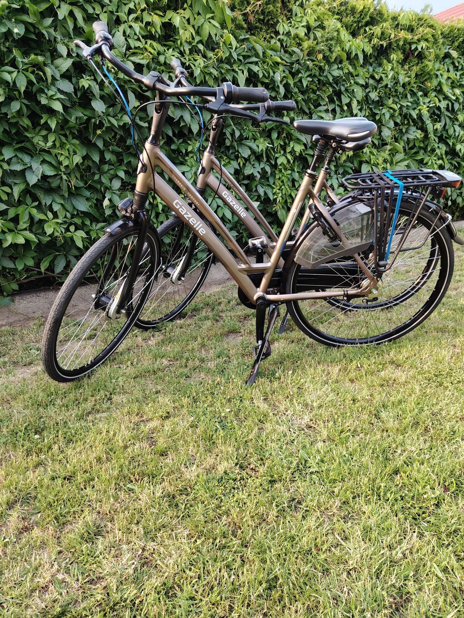 Gazelle Chamonix C7