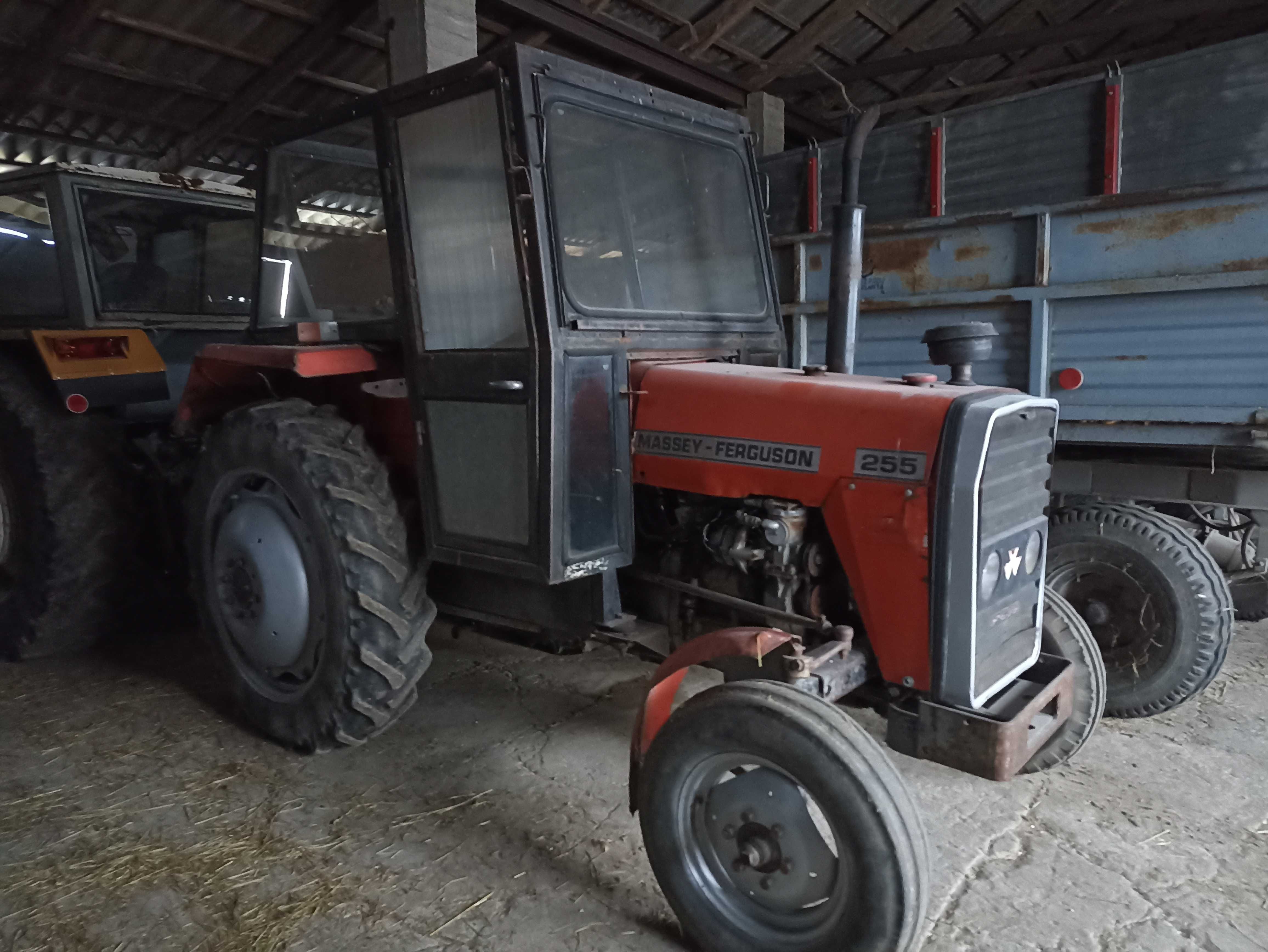 Massey Ferguson 255 polecam