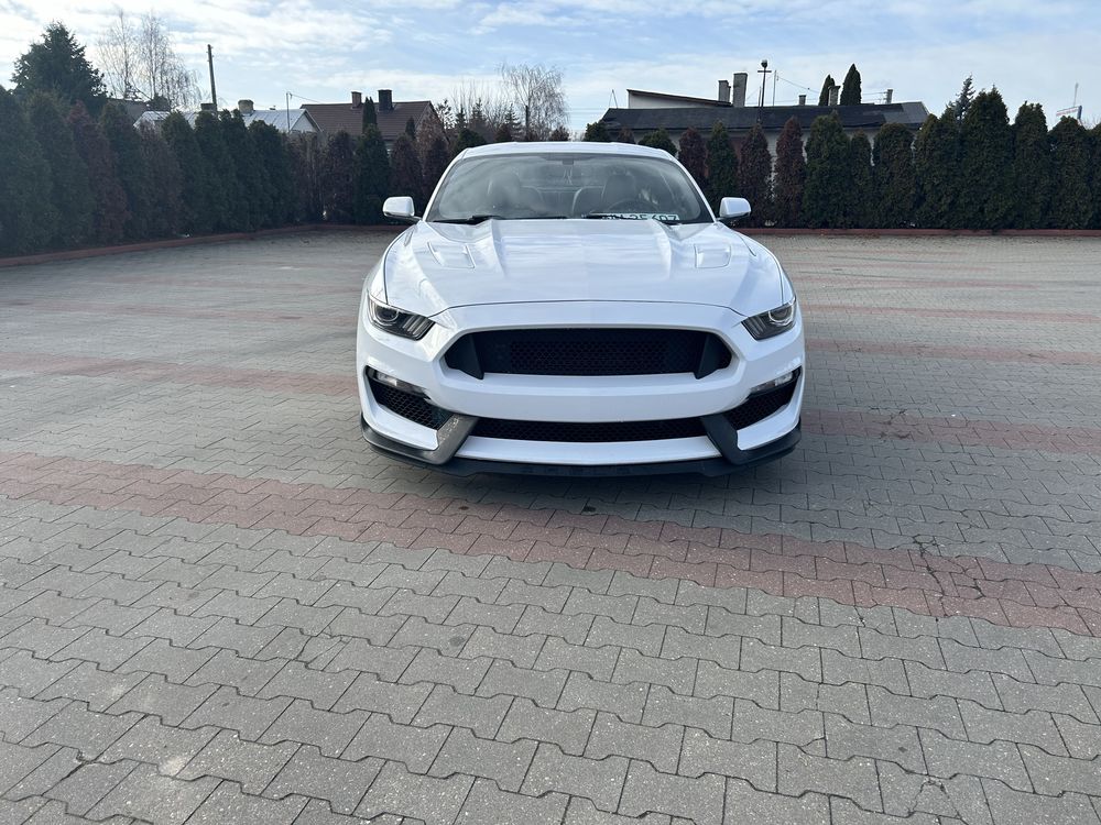 Ford mustang 5.0 2017r GT 350 style Premium